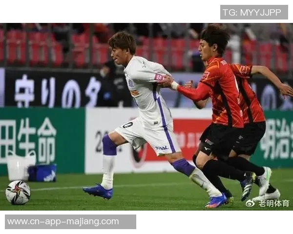 新泻与湘南的较量：足球激情与文化碰撞的精彩对决